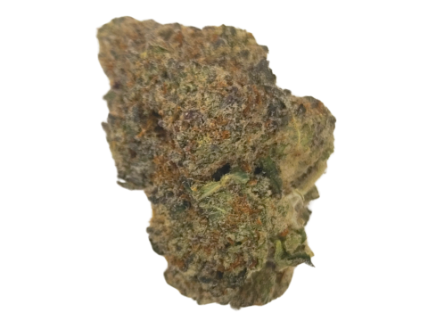 Black Maple - High THCA Hemp Flower